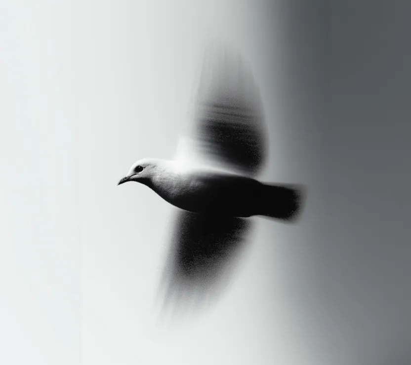 Process Img